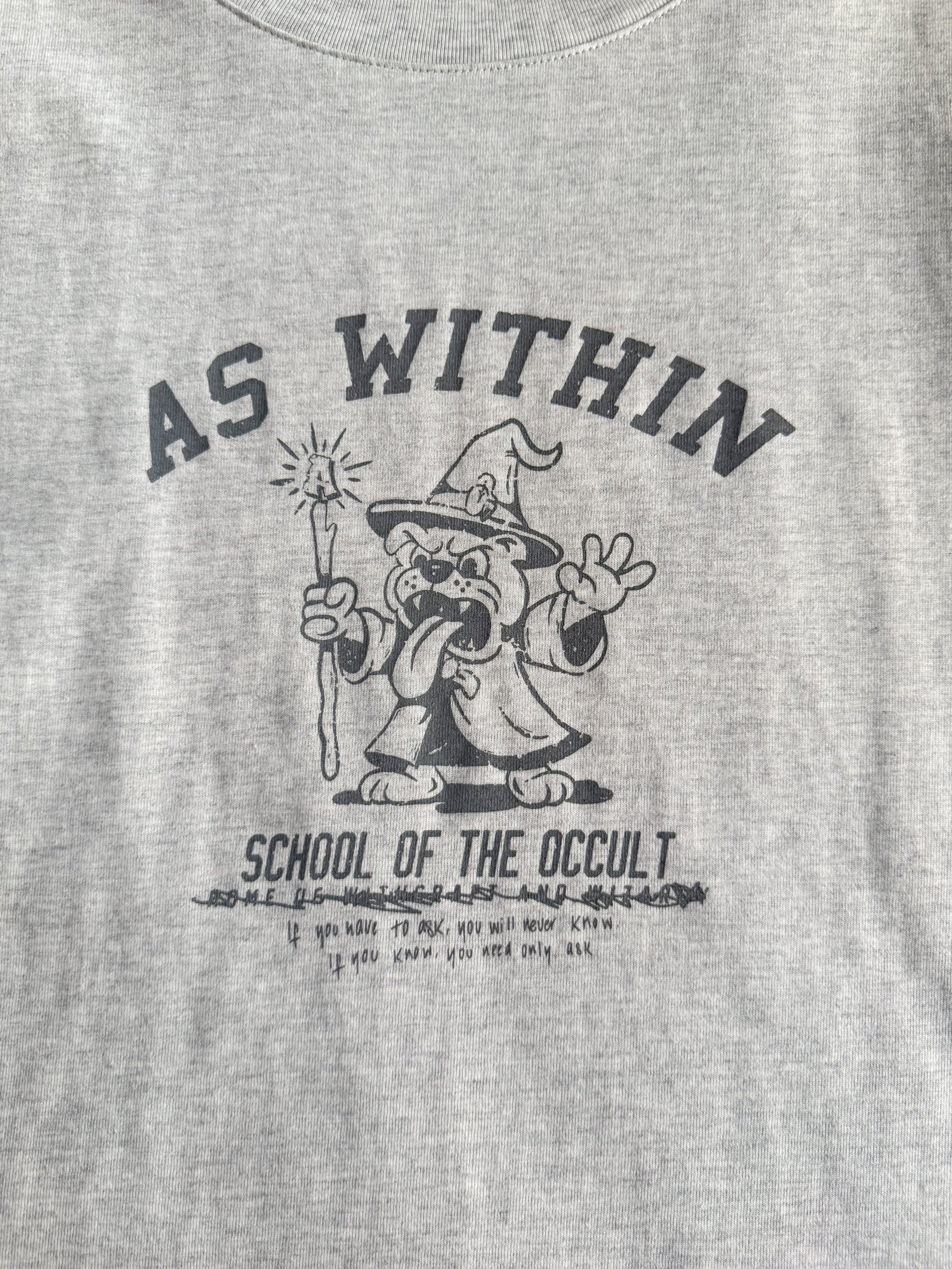 MAGIC UNIVERSITY IN GREY